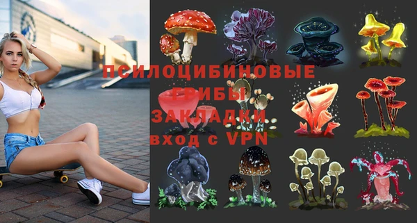 метадон Аркадак