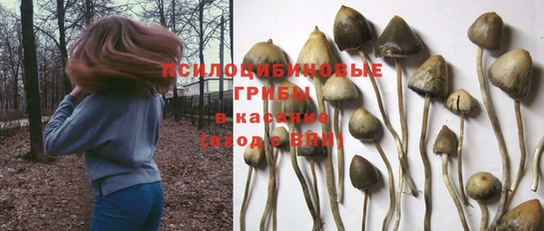 Альфа ПВП Армянск